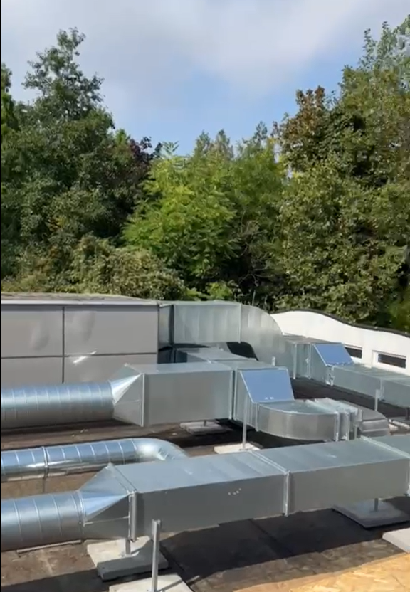 Blijdorp Rotterdam foto 2